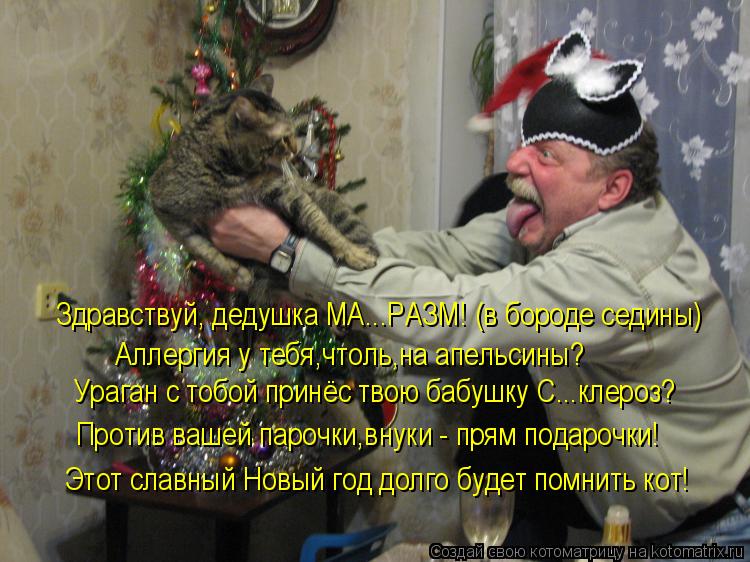 Здравствуй, дедушка МА...РАЗМ! (в бороде седины) Аллергия у тебя,чтоль,на апельсины? Против вашей пар... Котоматрица: Здравствуй, дедушка МА...РАЗМ! (в бороде седины) Аллергия у тебя,чтоль,на апельсины? Против вашей парочки,внуки - прям подарочки! Ураган с тобо
