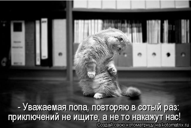 - Уважаемая попа, повторяю в сотый раз: приключений не ищите, а не то накажут нас!... Котоматрица: - Уважаемая попа, повторяю в сотый раз: приключений не ищите, а не то накажут нас!