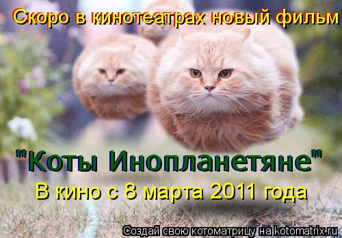 Котоматрица: Скоро в кинотеатрах новый фильм Скоро в кинотеатрах новый фильм В кино с 8 марта 2011 года "Коты Инопланетяне" "Коты Инопланетяне"