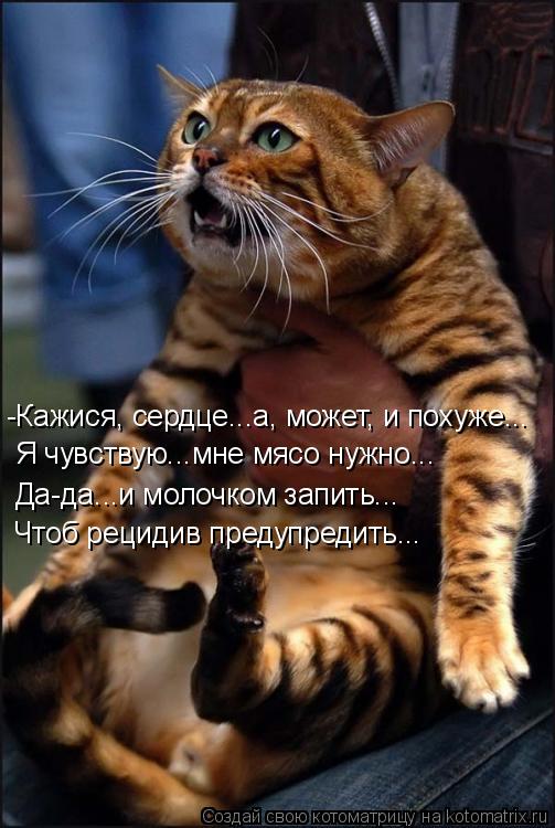 -Кажися, сердце...а, может, и похуже... Я чувствую...мне мясо нужно... Да-да...и молочком запить... Ч... Котоматрица: -Кажися, сердце...а, может, и похуже... Я чувствую...мне мясо нужно... Да-да...и молочком запить... Чтоб рецидив предупредить...
