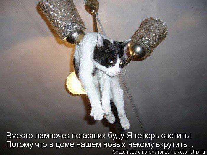 Вместо лампочек погасших буду Я теперь светить! Потому что в доме нашем новых некому вкрутить...... Котоматрица: Вместо лампочек погасших буду Я теперь светить! Потому что в доме нашем новых некому вкрутить...