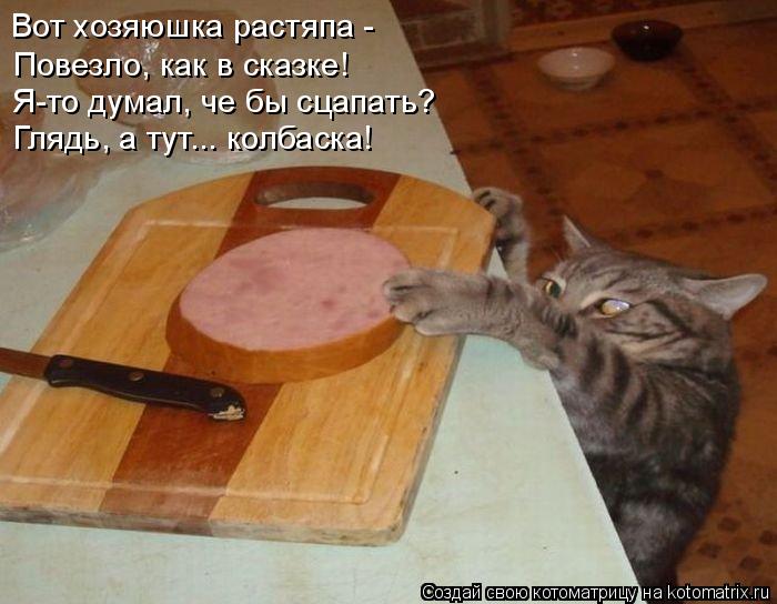 Вот хозяюшка растяпа - Повезло, как в сказке! Я-то думал, че бы сцапать? Глядь, а тут... колбаска!... Котоматрица: Вот хозяюшка растяпа - Повезло, как в сказке! Я-то думал, че бы сцапать? Глядь, а тут... колбаска!