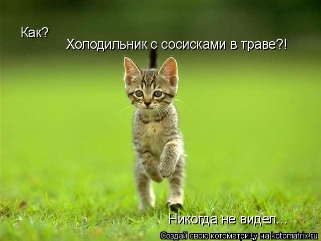 Как? Холодильник с сосисками в траве?! Никогда не видел...... Котоматрица: Как? Холодильник с сосисками в траве?! Никогда не видел...
