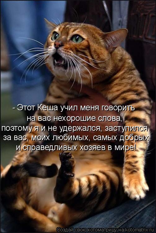 - Этот Кеша учил меня говорить на вас нехорошие слова, поэтому я и не удержался, заступился и справе... Котоматрица: - Этот Кеша учил меня говорить на вас нехорошие слова, поэтому я и не удержался, заступился и справедливых хозяев в мире! за вас, моих любимы