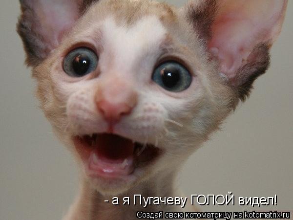 - а я Пугачеву ГОЛОЙ видел!... Котоматрица: - а я Пугачеву ГОЛОЙ видел!