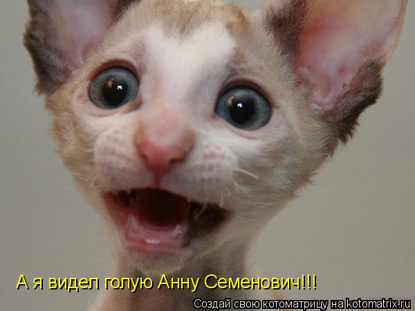 Котоматрица: А я видел голую Анну Семенович!!!