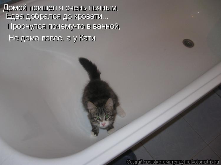 Котоматрица: Домой пришел я очень пьяным,  Едва добрался до кровати...  Проснулся почему-то в ванной,   Не дома вовсе, а у Кати