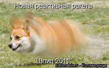Новая реактивная ракета "Шпиц 2011"... Котоматрица: Новая реактивная ракета "Шпиц 2011"