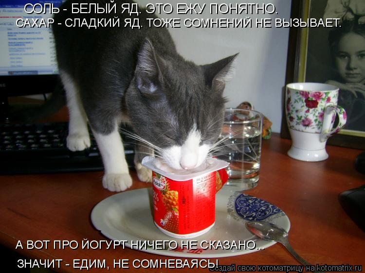 СОЛЬ - БЕЛЫЙ ЯД. ЭТО ЕЖУ ПОНЯТНО. САХАР - СЛАДКИЙ ЯД. ТОЖЕ СОМНЕНИЙ НЕ ВЫЗЫВАЕТ. А ВОТ ПРО ЙОГУРТ НИЧ... Котоматрица: СОЛЬ - БЕЛЫЙ ЯД. ЭТО ЕЖУ ПОНЯТНО. САХАР - СЛАДКИЙ ЯД. ТОЖЕ СОМНЕНИЙ НЕ ВЫЗЫВАЕТ. А ВОТ ПРО ЙОГУРТ НИЧЕГО НЕ СКАЗАНО... ЗНАЧИТ - ЕДИМ, НЕ СОМНЕВАЯС