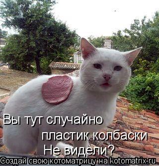 Котоматрица: Вы тут случайно пластик колбаски Не видели?