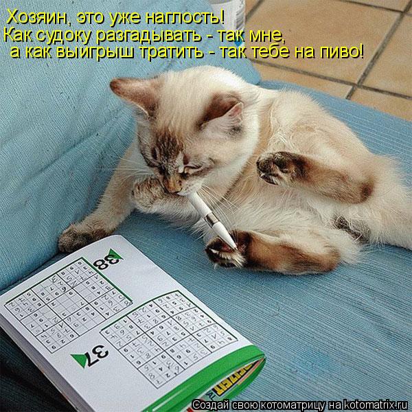 Котоматрица: Хозяин, это уже наглость!  Как судоку разгадывать - так мне,  а как выигрыш тратить - так тебе на пиво!