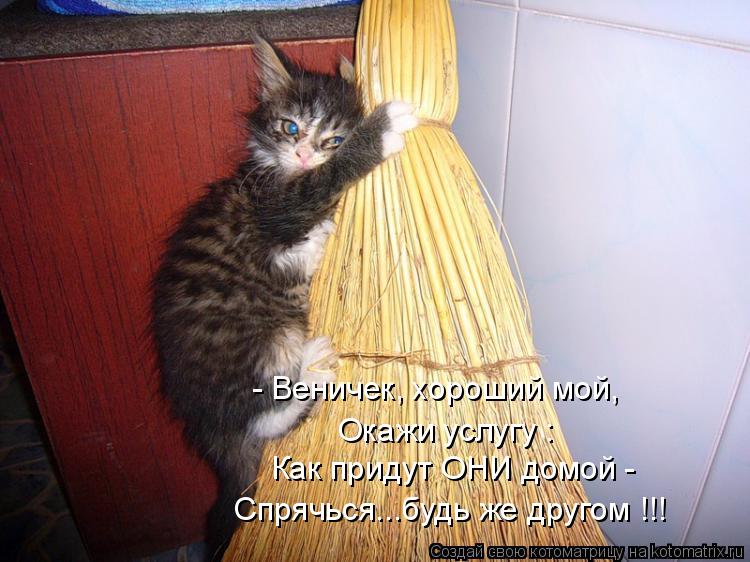- Веничек, хороший мой, Окажи услугу : Как придут ОНИ домой - Спрячься...будь же другом !!!... Котоматрица: - Веничек, хороший мой, Окажи услугу : Как придут ОНИ домой - Спрячься...будь же другом !!!