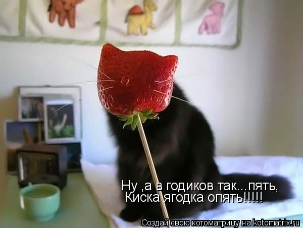 Котоматрица: Ну ,а в годиков так...пять, Киска ягодка опять!!!!!