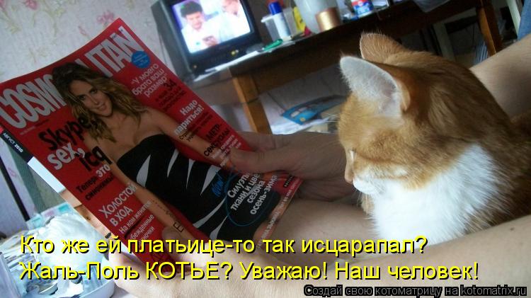 Котоматрица: Кто же ей платьице-то так исцарапал? Жаль-Поль КОТЬЕ? Уважаю! Наш человек!