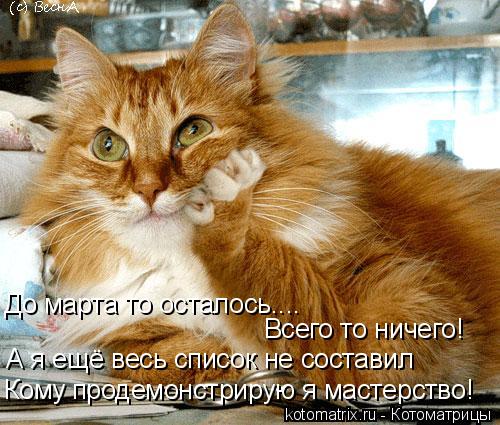 Котоматрица: Кому продемонстрирую я мастерство! А я ещё весь список не составил Всего то ничего! До марта то осталось....