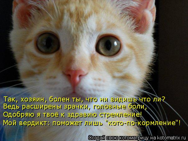 Котоматрица: Так, хозяин, болен ты, что ни видишь что ли? Одобряю я твоё к здравию стремление! Мой вердикт: поможет лишь "кото-по-кормление"! Ведь расширены 