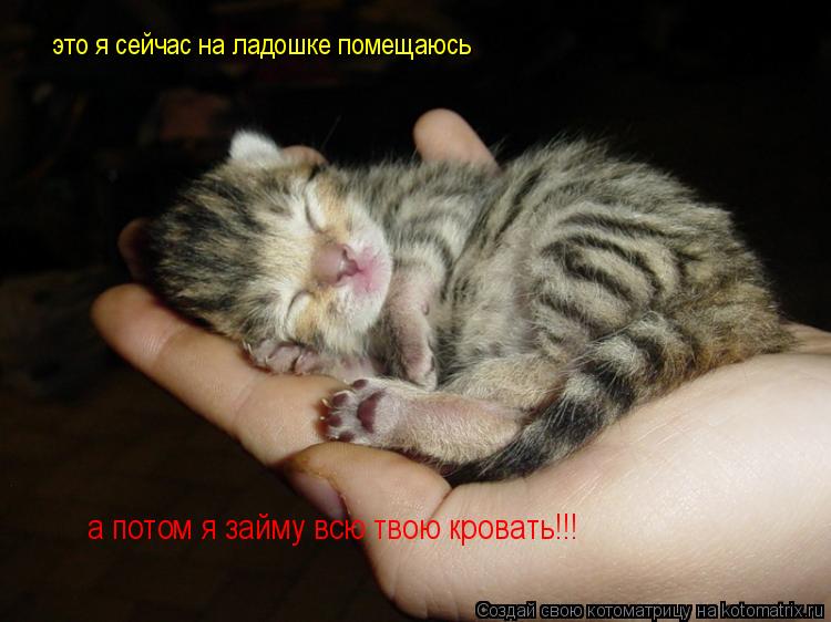 http://kotomatrix.ru/images/lolz/2011/01/29/806347.jpg