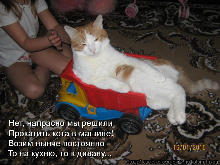 Нет, напрасно мы решили Прокатить кота в машине! Возим нынче постоянно - То на кухню, то к дивану...... Котоматрица: Нет, напрасно мы решили Прокатить кота в машине! Возим нынче постоянно - То на кухню, то к дивану...