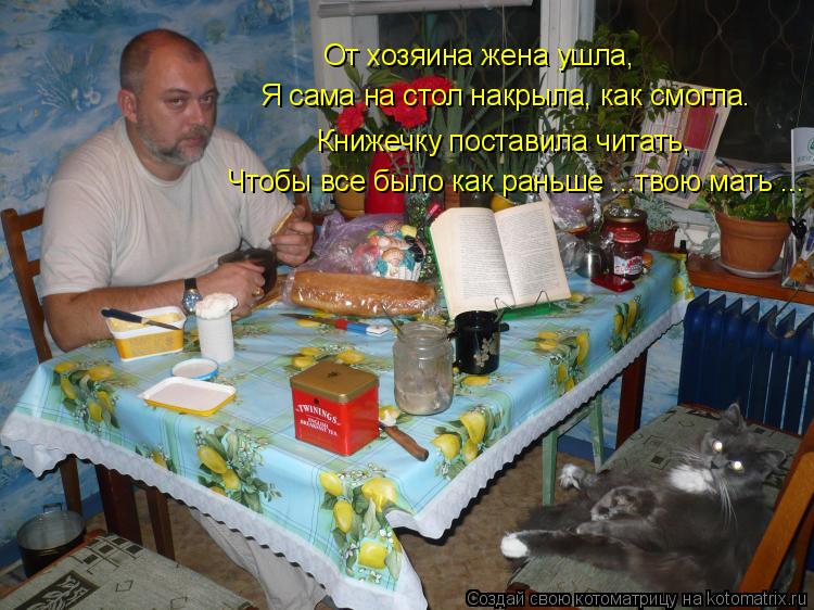 Котоматрица: Чтобы все было как раньше ...твою мать ... Книжечку поставила читать, Я сама на стол накрыла, как смогла. От хозяина жена ушла,