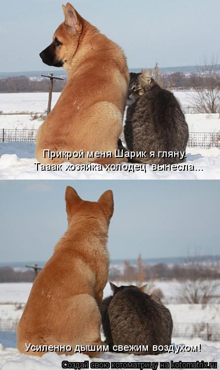 Прикрой меня Шарик я гляну. Тааак хозяйка холодец вынесла... Усиленно дышим свежим воздухом!... Котоматрица: Прикрой меня Шарик я гляну. Тааак хозяйка холодец вынесла... Усиленно дышим свежим воздухом!