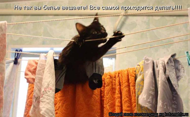 Не так вы белье вешаете! Все самой приходится делать!!!!... Котоматрица: Не так вы белье вешаете! Все самой приходится делать!!!!