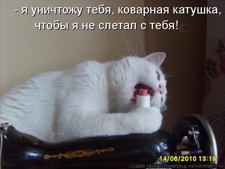 Котоматрица: - я уничтожу тебя, коварная катушка, чтобы я не слетал с тебя! чтобы я не слетал с тебя!
