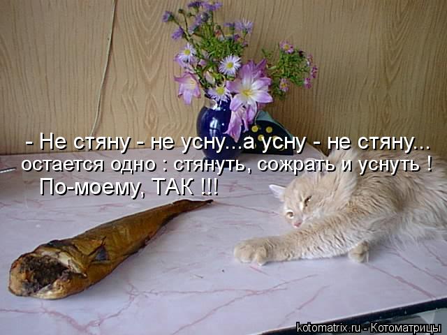 - Не стяну - не усну...а усну - не стяну... По-моему, ТАК !!! остается одно : стянуть, сожрать и усну... Котоматрица: - Не стяну - не усну...а усну - не стяну... По-моему, ТАК !!! остается одно : стянуть, сожрать и уснуть !