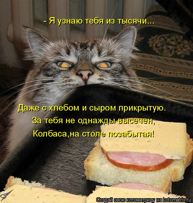 - Я узнаю тебя из тысячи... Даже с хлебом и сыром прикрытую. За тебя не однажды высечен, Колбаса,на с... Котоматрица: - Я узнаю тебя из тысячи... Даже с хлебом и сыром прикрытую. За тебя не однажды высечен, Колбаса,на столе позабытая!