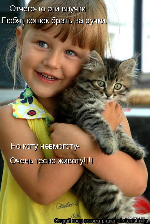 Отчего-то эти внучки Любят кошек брать на ручки. Но коту невмоготу- Очень тесно животу!!!!... Котоматрица: Отчего-то эти внучки Любят кошек брать на ручки. Но коту невмоготу- Очень тесно животу!!!!