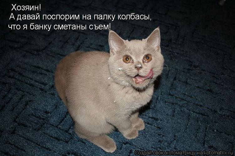 Котоматрица: Хозяин! А давай поспорим на палку колбасы,  что я банку сметаны съем!
