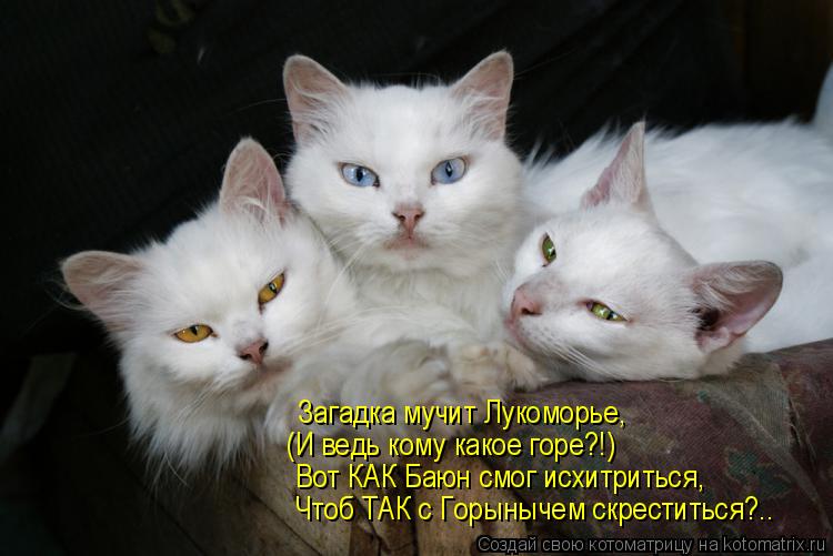 Котоматрица: Загадка мучит Лукоморье, (И ведь кому какое горе?!) Вот КАК Баюн смог исхитриться,  Чтоб ТАК с Горынычем скреститься?..