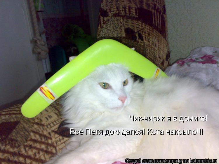 Чик-чирик я в домике! Всё Петя,докидался! Кота накрыло!!!... Котоматрица: Чик-чирик я в домике! Всё Петя,докидался! Кота накрыло!!!