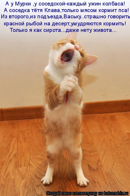 Посмеялся сам - поделись с другом!!!