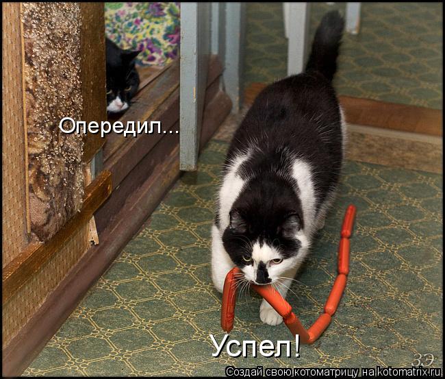 Опередил... Успел!... Котоматрица: Опередил... Успел!