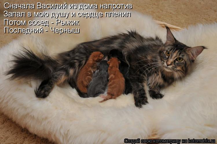 Самса из пельменного теста рецепт