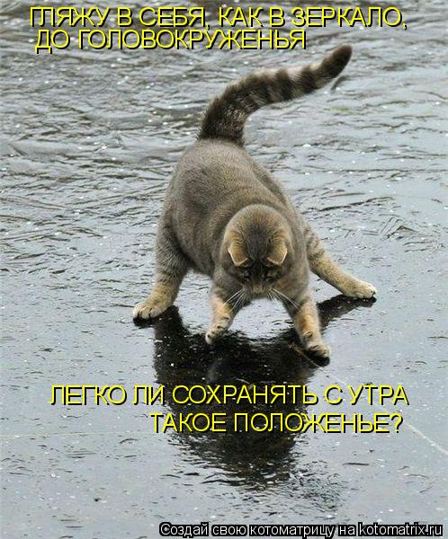 Котоматрица: ГЛЯЖУ В СЕБЯ, КАК В ЗЕРКАЛО,  ДО ГОЛОВОКРУЖЕНЬЯ ЛЕГКО ЛИ СОХРАНЯТЬ С УТРА ТАКОЕ ПОЛОЖЕНЬЕ?
