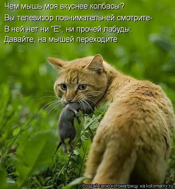 Чем мышь моя вкуснее колбасы? Вы телевизор повнимательней смотрите- В ней нет ни "Е", ни прочей лабуд... Котоматрица: Чем мышь моя вкуснее колбасы? Вы телевизор повнимательней смотрите- В ней нет ни "Е", ни прочей лабуды, Давайте, на мышей переходите