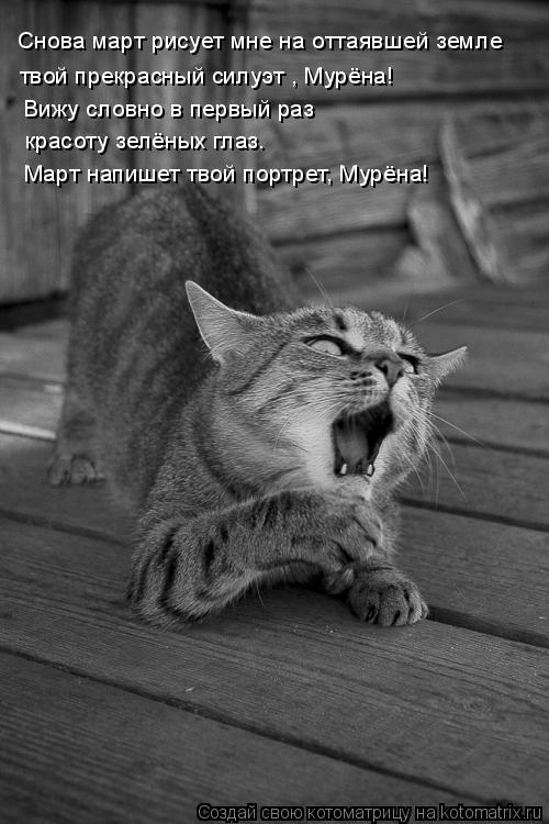 Снова март рисует мне на оттаявшей земле Вижу словно в первый раз красоту зелёных глаз. твой прекрасн... Котоматрица: Снова март рисует мне на оттаявшей земле Вижу словно в первый раз красоту зелёных глаз. твой прекрасный силуэт , Мурёна! Март напишет твой п