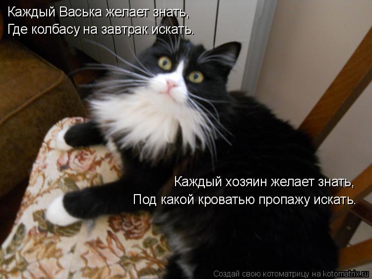 Каждый Васька желает знать, Где колбасу на завтрак искать. Каждый хозяин желает знать, Под какой кров... Котоматрица: Каждый Васька желает знать, Где колбасу на завтрак искать. Каждый хозяин желает знать, Под какой кроватью пропажу искать.