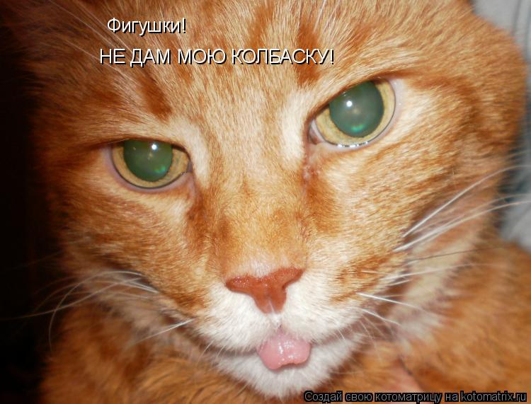Котоматрица: Фигушки! НЕ ДАМ МОЮ КОЛБАСКУ!