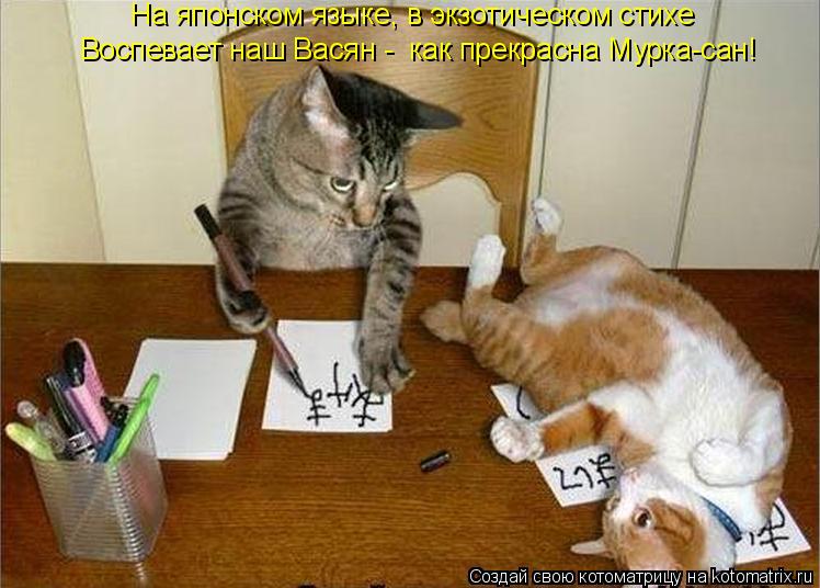 На японском языке, в экзотическом стихе Воспевает наш Васян - как прекрасна Мурка-сан!... Котоматрица: На японском языке, в экзотическом стихе Воспевает наш Васян - как прекрасна Мурка-сан!