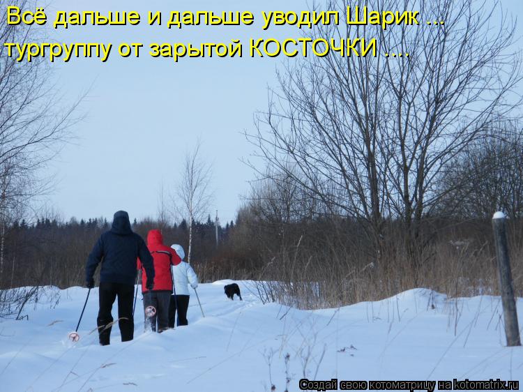 Всё дальше и дальше уводил Шарик ... тургруппу от зарытой КОСТОЧКИ ....... Котоматрица: Всё дальше и дальше уводил Шарик ... тургруппу от зарытой КОСТОЧКИ ....