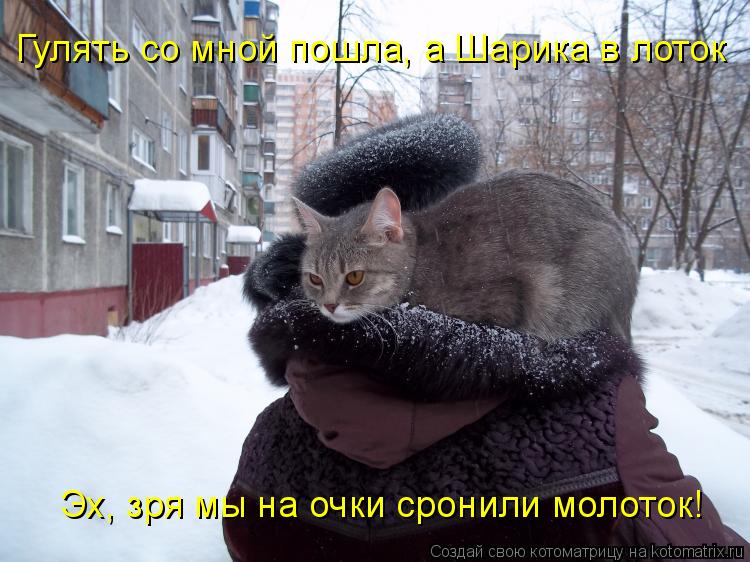 Гулять со мной пошла, а Шарика в лоток Эх, зря мы на очки сронили молоток!... Котоматрица: Гулять со мной пошла, а Шарика в лоток Эх, зря мы на очки сронили молоток!