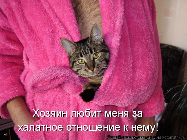 Хозяин любит меня за халатное отношение к нему!... Котоматрица: Хозяин любит меня за халатное отношение к нему!