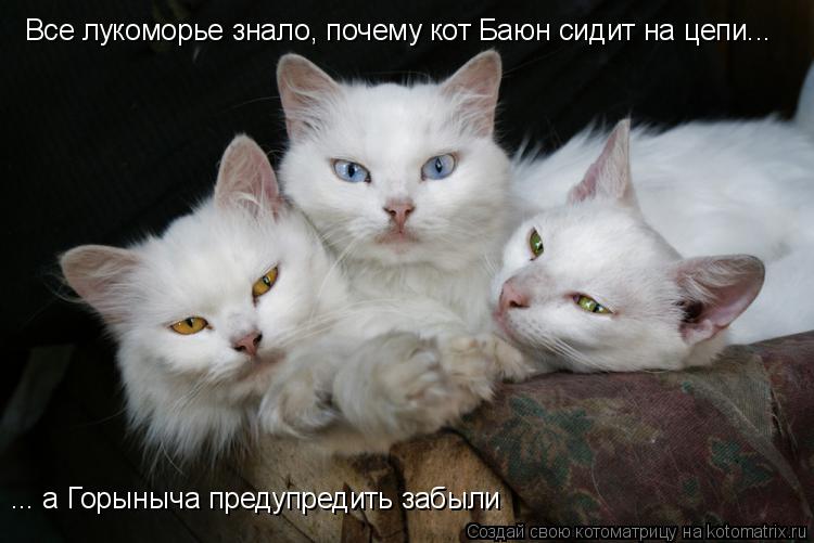 Все лукоморье знало, почему кот Баюн сидит на цепи... ... а Горыныча предупредить забыли... Котоматрица: Все лукоморье знало, почему кот Баюн сидит на цепи... ... а Горыныча предупредить забыли