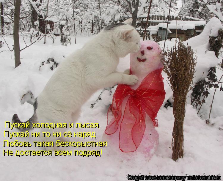 Пускай холодная и лысая, Пускай ни то ни сё наряд Любовь такая бескорыстная Не достается всем подряд!... Котоматрица: Пускай холодная и лысая, Пускай ни то ни сё наряд Любовь такая бескорыстная Не достается всем подряд!