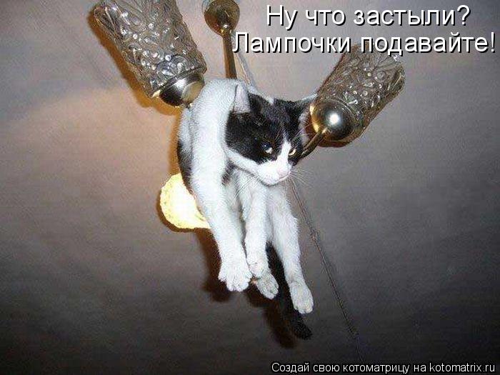 Котоматрица: Ну что застыли? Лампочки подавайте!