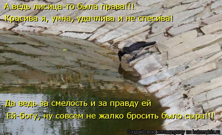 Котоматрица: А ведь лисица-то была права!!! Красива я, умна, удачлива и не спесива! Да ведь за смелость и за правду ей Ей-богу, ну совсем не жалко бросить был