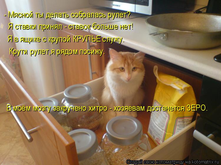 Котоматрица: - Мясной ты делать собралась рулет? Я ставки принял - ставок больше нет! Крути рулет,я рядом посижу. Я в ящике с крупой КРУПЬЕ служу. В моём моз