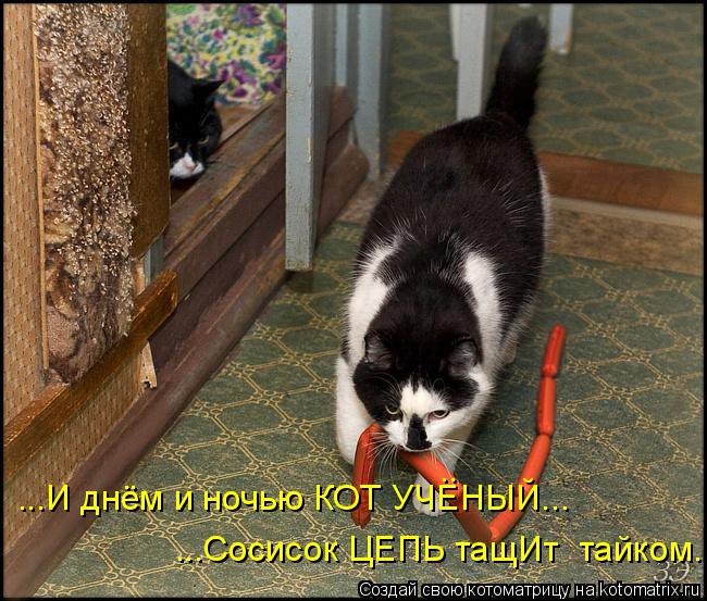 Котоматрица: ...И днём и ночью КОТ УЧЕНЫЙ... ...Сосисок ЦЕПЬ тащИт  тайком. ..